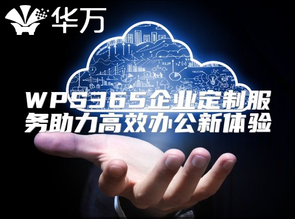 WPS365企业定制服务助力高效办公新体验