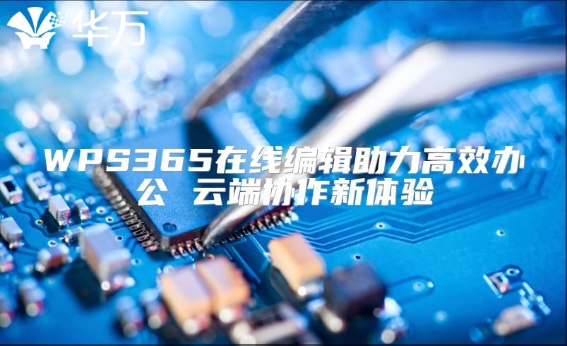 WPS365在线编辑助力高效办公 云端协作新体验