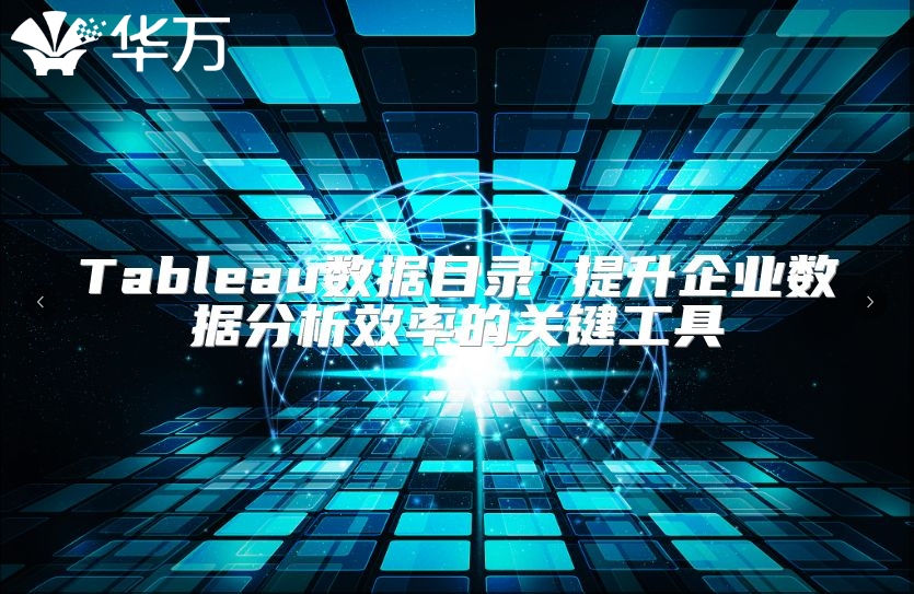 Tableau数据目录 提升企业数据分析效率的关键工具